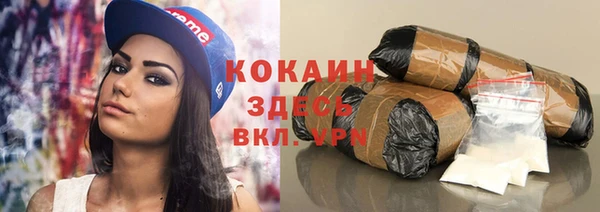 гашик Дмитриев