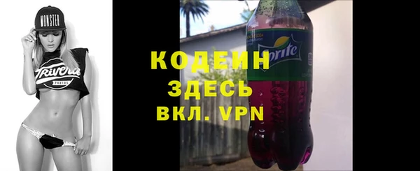 гашик Дмитриев