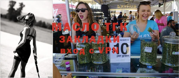 гашик Дмитриев