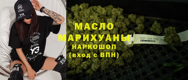 гашик Дмитриев