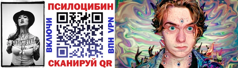 Купить закладки  Мглин  Галлюциногенные грибы Psilocybine cubensis 